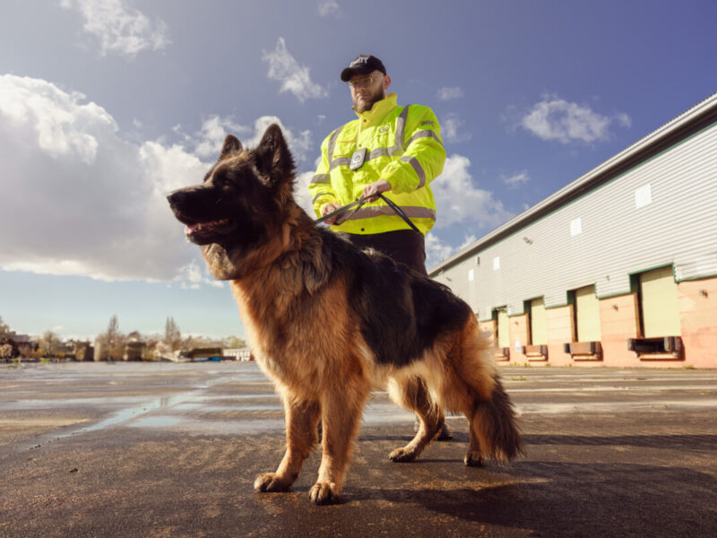 Dog Handling K-9